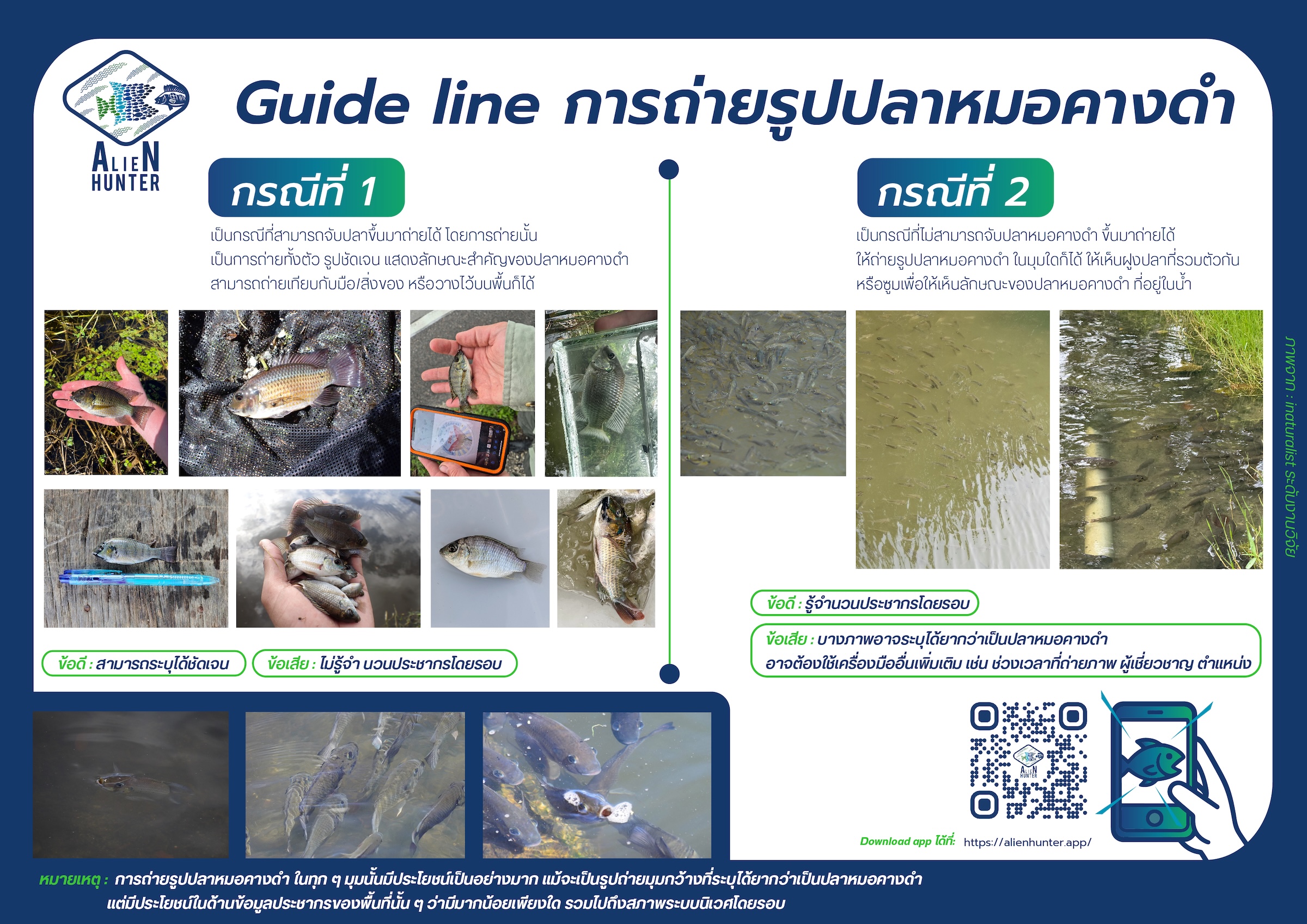 AlienHunter Guidelines